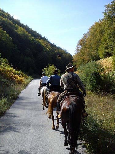 HorseRidingStruga